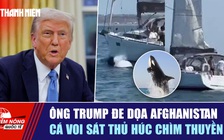 Tiêu điểm quốc tế ngày 22.9: Ông Trump đe dọa Afghanistan | Cá voi sát thủ húc chìm thuyền