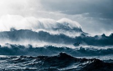 Những bức ảnh đẹp và ám ảnh từ cuộc thi nhiếp ảnh đại dương thế giới