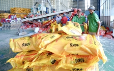 Philippines muốn kéo dài lệnh cấm nhập khẩu, gạo Việt thế nào?