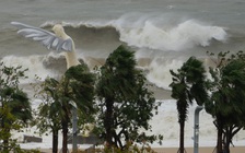 Trung Quốc sơ tán 2 triệu người, siêu bão Ragasa bắt đầu đổ bộ