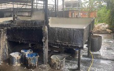 Chế biến mủ cao su không phép gây ô nhiễm