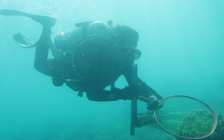 Một người tử vong, 1 người nguy kịch sau sự cố lặn biển ở Quảng Trị