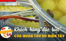 Bầy ong 'mở hàng' quán tàu hũ miền Tây: Cộng tác viên dự báo thời tiết