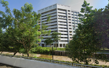 Một người Việt bị đâm chết ở Singapore do tranh cãi về tiếng ồn ở chung cư