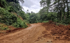 Quảng Ngãi: Khắc phục sạt lở trên tỉnh lộ 674