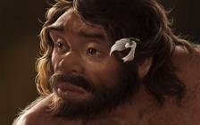 Hộp sọ cổ đại Trung Quốc có thể viết lại lịch sử tiến hóa của loài người?