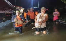 Bão Bualoi làm 4 người thiệt mạng tại Philippines, dự báo mạnh lên tại Biển Đông