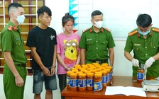 Giấu 21 kg ma túy trong vỏ hộp sữa chuyển từ châu Âu về Việt Nam