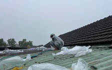 Huế: Người dân 'dời' ô tô lên cao, gia cố nhà cửa phòng bão số 10