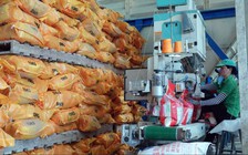 Gạo Việt vững vàng giữa sóng gió thị trường thế giới