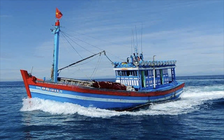 Gia Lai: Khẩn cấp tìm kiếm 8 ngư dân mất liên lạc trên biển