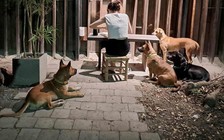 Có những người trẻ nhà ở thành phố, nhưng vẫn ra ở riêng