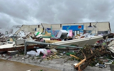 Bí thư thôn bị cây đè tử vong khi đi chống bão số 10