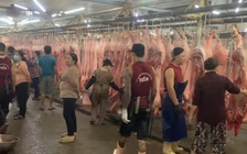 Giá heo hơi hôm nay 29.9.2025: Diễn biến trái chiều