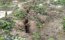Quảng Ngãi: Kiểm tra vết nứt dài 200 m trên đồi ở xã Đăk Plô