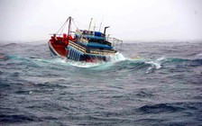 8 ngư dân mất tích, Gia Lai lập sở chỉ huy tìm kiếm