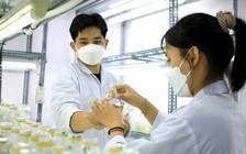 Liêm chính khoa học chính thức vào luật: Khoa học VN chuyển từ 'lượng' sang 'chất'?