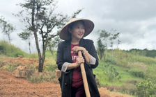 Bỏ phố về rừng, cặp vợ chồng xây khu làng chữa lành giữa rừng thông