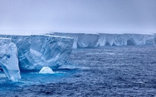 Tảng băng trôi lớn nhất thế giới nặng hơn 1.000 tỉ tấn đã vỡ