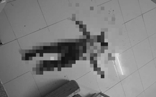 Thầy giáo tử vong ở tầng trệt bệnh viện