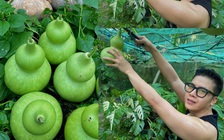 Chàng trai miền Tây và hành trình kỳ diệu...