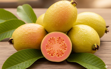 Ngày mới với tin tức sức khỏe: Thêm nhiều lợi ích khi ăn ổi