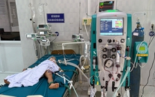 3 trẻ ở cơ sở mồ côi bị ong vò vẽ đốt, 1 cháu tử vong