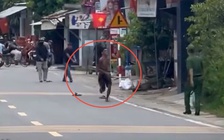 Bắt giữ người đàn ông cầm dao đuổi chém công an và người đi đường