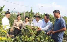 Phó bí thư Thành ủy TP.HCM thăm làng mai vàng Bình Lợi, tặng BHYT cho người dân