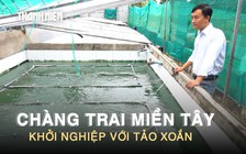 Nuôi ‘siêu thực phẩm’ tảo xoắn dưới nắng mưa miền Tây, chàng trai thu nhập 30 triệu đồng/tháng