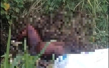 TP.HCM: Điều tra vụ tử thi lõa thể, khô hóa cạnh trạm thu phí