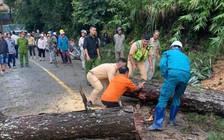 CSGT Lâm Đồng: Kéo giảm người chết do TNGT là 'chỉ tiêu hạnh phúc'