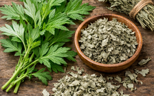 Bác sĩ: Ngải cứu vị thuốc giúp lưu thông máu huyết