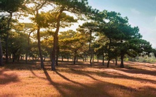 Gia Lai chấp thuận dự án sân golf Đăk Đoa hơn 1.150 tỉ đồng