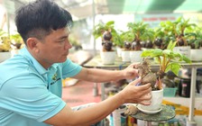 Biến trái dừa khô thành bonsai 12 con giáp: Ý tưởng lạ hút khách tết