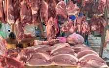 Giá heo hơi hôm nay 16.1.2026: Cao nhất 76.000 đồng/kg