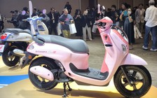 Honda Scoopy 'Made in Thailand' có bản mới, về Việt Nam trong năm 2026