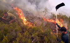 Vì sao 2025 là một trong 3 năm nóng nhất lịch sử dù có La Nina?