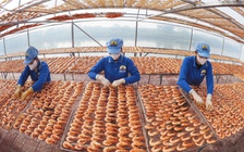 Tôm sú khô nguyên vỏ Cà Mau 'cháy hàng' dịp tết, giá 1,5 triệu/kg vẫn hút khách