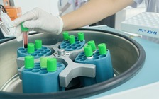 12,8% dân số trưởng thành mắc bệnh thận mạn