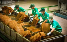 VRG triển khai kế hoạch năm bản lề 2026, hướng tới tăng trưởng bền vững