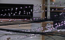 Hy hữu ở miền Tây: Hàng ngàn con chim én kéo về, người Cần Thơ chật vật