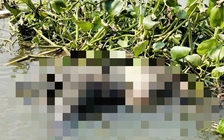 Sau cuộc gọi với bố, nam thanh niên ở TP.HCM được phát hiện tử vong dưới sông