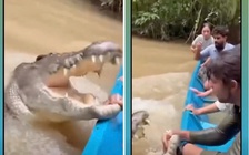 Hiểm họa những video giả từ AI