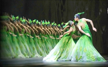 'Khổng tước' của Dương Lệ Bình đến VN: giá vé cao, kiểm duyệt chặt