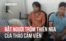 Bắt giữ người trộm thiên nga của Thảo Cầm Viên