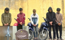 Băng trộm chuyên 'khoắng' tiền công đức trong các di tích