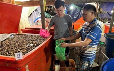 TP.HCM: Bắt vụ ngâm 3.000 tấn ốc bươu bằng 500 tấn hóa chất dùng trong xây dựng