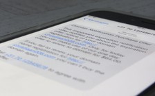 Điều gì xảy ra nếu trả lời tin nhắn rác?