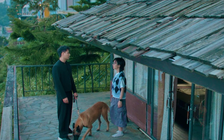 Lộ diện 'nhân vật đặc biệt' trong phim có Thanh Sơn đóng chính